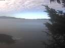./images/koeye/fitz-hugh/20241022/fitz-hugh20241022_110502.jpg