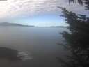 ./images/koeye/fitz-hugh/20241022/fitz-hugh20241022_113002.jpg