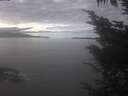 ./images/koeye/fitz-hugh/20241022/fitz-hugh20241022_134501.jpg