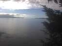 ./images/koeye/fitz-hugh/20241022/fitz-hugh20241022_145502.jpg