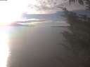 ./images/koeye/fitz-hugh/20241022/fitz-hugh20241022_155001.jpg