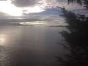 ./images/koeye/fitz-hugh/20241022/fitz-hugh20241022_160501.jpg