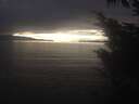 ./images/koeye/fitz-hugh/20241022/fitz-hugh20241022_165501.jpg