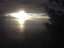 ./images/koeye/fitz-hugh/20241022/fitz-hugh20241022_172502.jpg