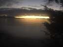 ./images/koeye/fitz-hugh/20241022/fitz-hugh20241022_185002.jpg