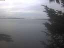 ./images/koeye/fitz-hugh/20241023/fitz-hugh20241023_090502.jpg