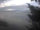 ./images/koeye/fitz-hugh/20241023/fitz-hugh20241023_110501.jpg