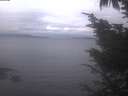 ./images/koeye/fitz-hugh/20241024/fitz-hugh20241024_074002.jpg