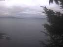 ./images/koeye/fitz-hugh/20241024/fitz-hugh20241024_075002.jpg