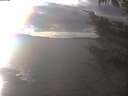 ./images/koeye/fitz-hugh/20241024/fitz-hugh20241024_154001.jpg