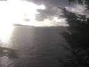 ./images/koeye/fitz-hugh/20241024/fitz-hugh20241024_161502.jpg