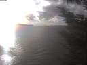 ./images/koeye/fitz-hugh/20241024/fitz-hugh20241024_162001.jpg