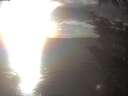 ./images/koeye/fitz-hugh/20241024/fitz-hugh20241024_165502.jpg