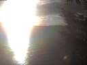 ./images/koeye/fitz-hugh/20241024/fitz-hugh20241024_170002.jpg