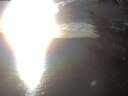 ./images/koeye/fitz-hugh/20241024/fitz-hugh20241024_170502.jpg