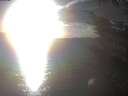 ./images/koeye/fitz-hugh/20241024/fitz-hugh20241024_171002.jpg