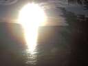 ./images/koeye/fitz-hugh/20241024/fitz-hugh20241024_173502.jpg