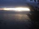 ./images/koeye/fitz-hugh/20241024/fitz-hugh20241024_184501.jpg