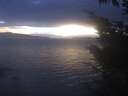 ./images/koeye/fitz-hugh/20241024/fitz-hugh20241024_185001.jpg
