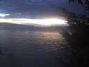 ./images/koeye/fitz-hugh/20241024/fitz-hugh20241024_185501.jpg