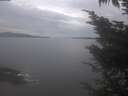 ./images/koeye/fitz-hugh/20241025/fitz-hugh20241025_130502.jpg