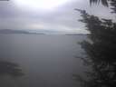 ./images/koeye/fitz-hugh/20241025/fitz-hugh20241025_165001.jpg