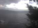 ./images/koeye/fitz-hugh/20241026/fitz-hugh20241026_084001.jpg