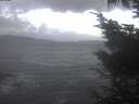 ./images/koeye/fitz-hugh/20241026/fitz-hugh20241026_084501.jpg