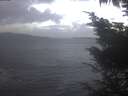 ./images/koeye/fitz-hugh/20241026/fitz-hugh20241026_085001.jpg