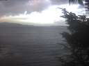 ./images/koeye/fitz-hugh/20241026/fitz-hugh20241026_090002.jpg