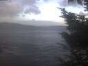 ./images/koeye/fitz-hugh/20241026/fitz-hugh20241026_092502.jpg