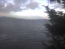 ./images/koeye/fitz-hugh/20241026/fitz-hugh20241026_093002.jpg