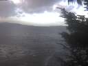 ./images/koeye/fitz-hugh/20241026/fitz-hugh20241026_093502.jpg