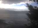 ./images/koeye/fitz-hugh/20241026/fitz-hugh20241026_141501.jpg
