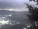 ./images/koeye/fitz-hugh/20241027/fitz-hugh20241027_114501.jpg