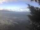 ./images/koeye/fitz-hugh/20241028/fitz-hugh20241028_112003.jpg