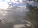 ./images/koeye/fitz-hugh/20241028/fitz-hugh20241028_140002.jpg