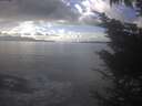 ./images/koeye/fitz-hugh/20241028/fitz-hugh20241028_150001.jpg