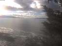./images/koeye/fitz-hugh/20241028/fitz-hugh20241028_152001.jpg