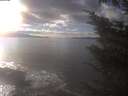 ./images/koeye/fitz-hugh/20241028/fitz-hugh20241028_153501.jpg