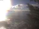 ./images/koeye/fitz-hugh/20241028/fitz-hugh20241028_160002.jpg