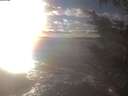 ./images/koeye/fitz-hugh/20241028/fitz-hugh20241028_163502.jpg