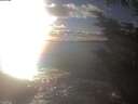 ./images/koeye/fitz-hugh/20241028/fitz-hugh20241028_164502.jpg