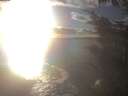./images/koeye/fitz-hugh/20241028/fitz-hugh20241028_170002.jpg