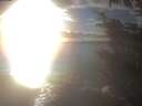 ./images/koeye/fitz-hugh/20241028/fitz-hugh20241028_170502.jpg