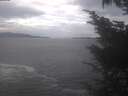 ./images/koeye/fitz-hugh/20241029/fitz-hugh20241029_123502.jpg