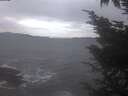 ./images/koeye/fitz-hugh/20241029/fitz-hugh20241029_151502.jpg