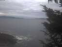 ./images/koeye/fitz-hugh/20241029/fitz-hugh20241029_171501.jpg