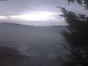 ./images/koeye/fitz-hugh/20241029/fitz-hugh20241029_183002.jpg