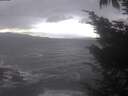 ./images/koeye/fitz-hugh/20241030/fitz-hugh20241030_151001.jpg